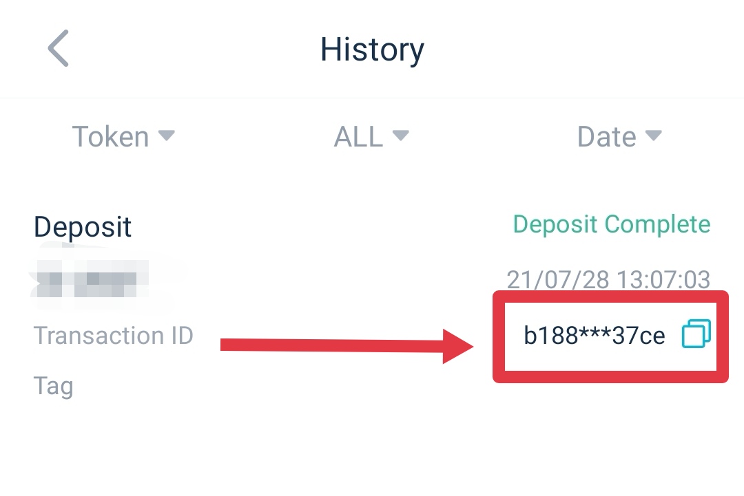 What is a Transaction ID?